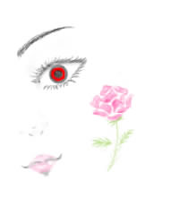 IMG_000350.jpg ( 16KB ) by yC^[ʏ