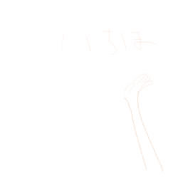 IMG_001856.jpg ( 16KB ) by yC^[ʏ