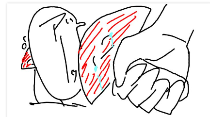 PNG 433x241 71.8kb